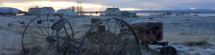 Farm life in lake Myvatn north Iceland